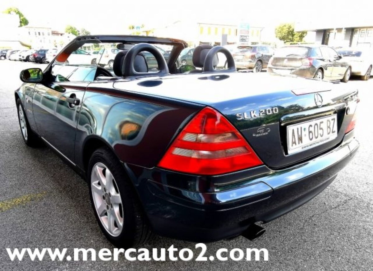 Mercedes-Benz SLK 200 cat (3)