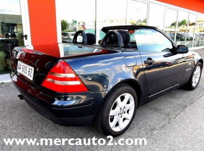 Mercedes-Benz SLK 200 cat (5)