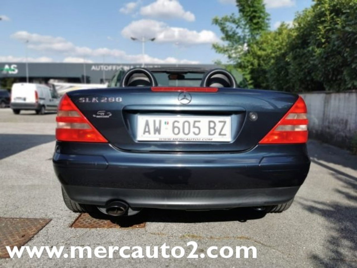 Mercedes-Benz SLK 200 cat (9)