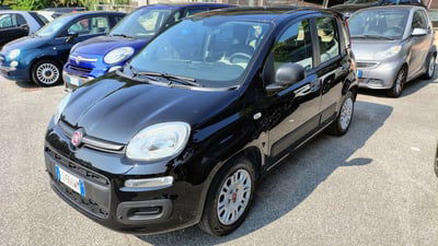 Fiat Panda 0.9 TwinAir Turbo S&S Easy usata