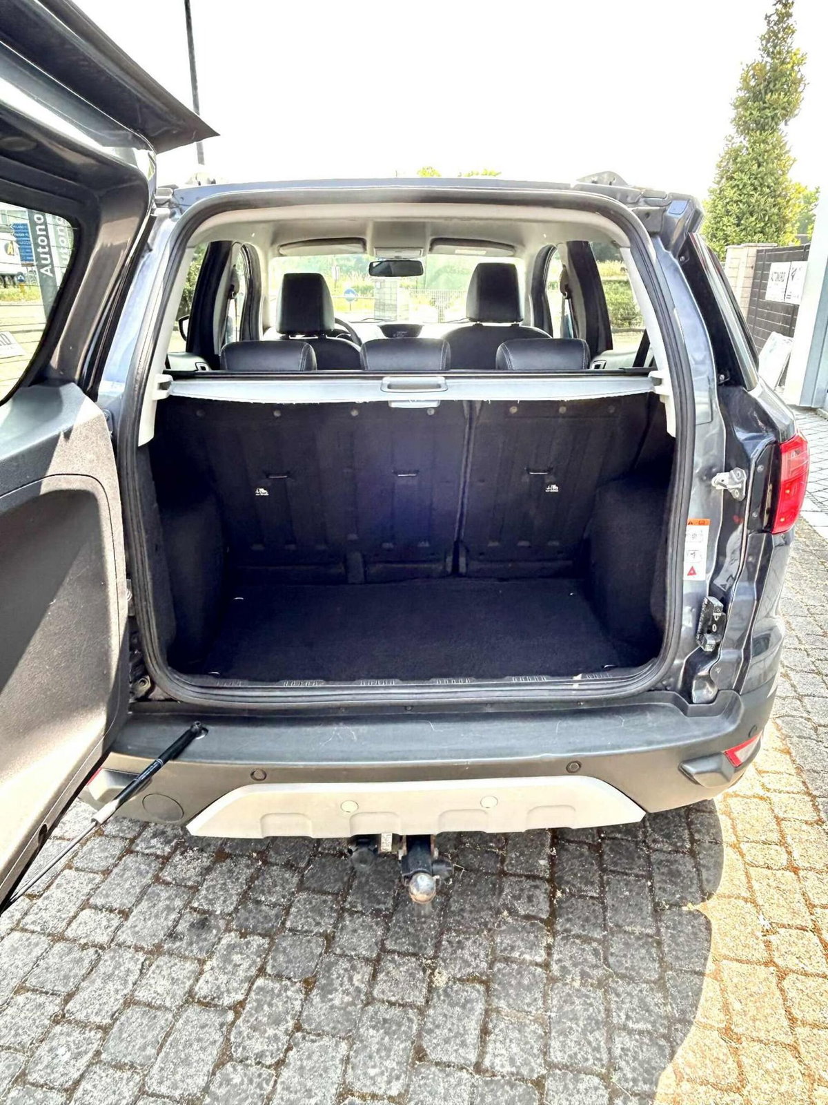 Ford EcoSport 1.5 TDCi 95 CV Titanium (5)