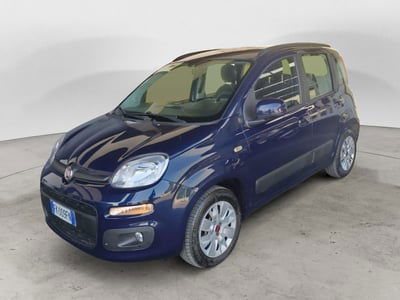Fiat Panda 1.2 Easy usata