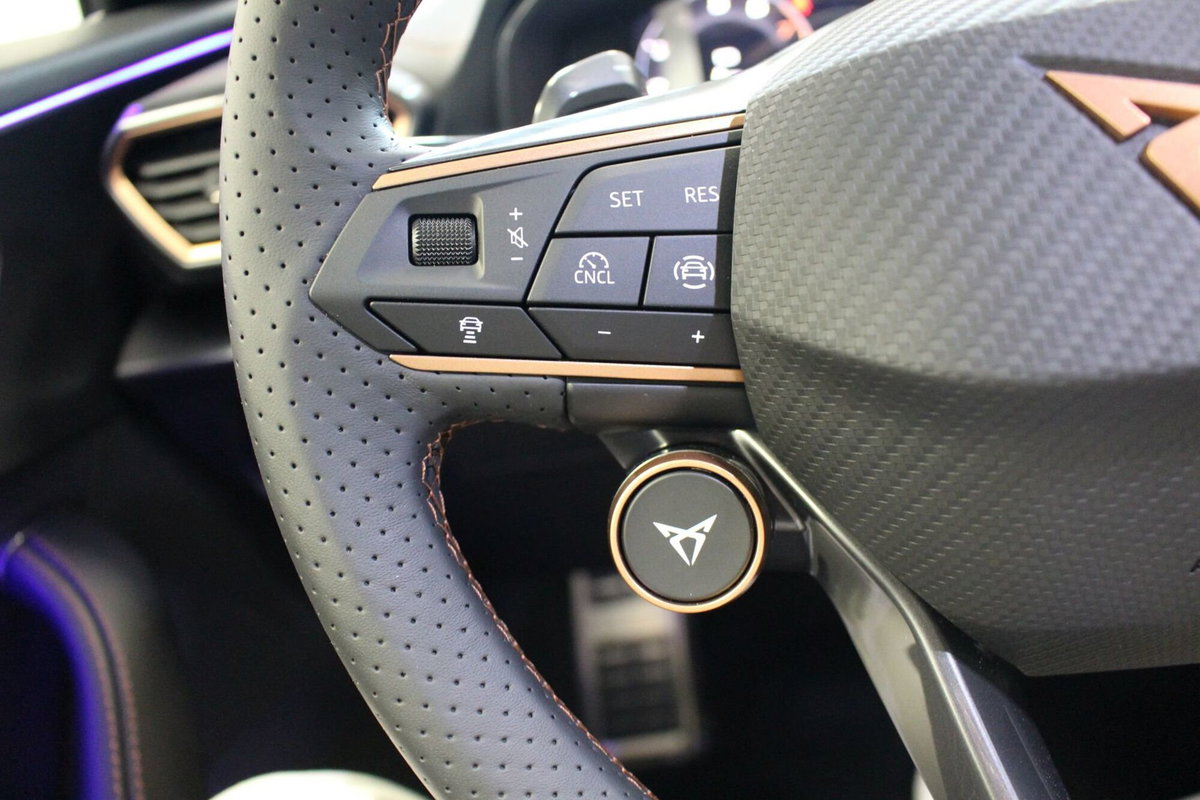 Cupra Formentor 1.5 hybrid 150cv dsg (12)