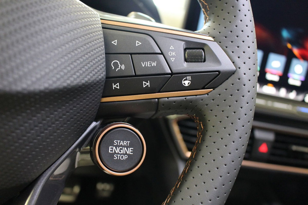 Cupra Formentor 1.5 hybrid 150cv dsg (13)