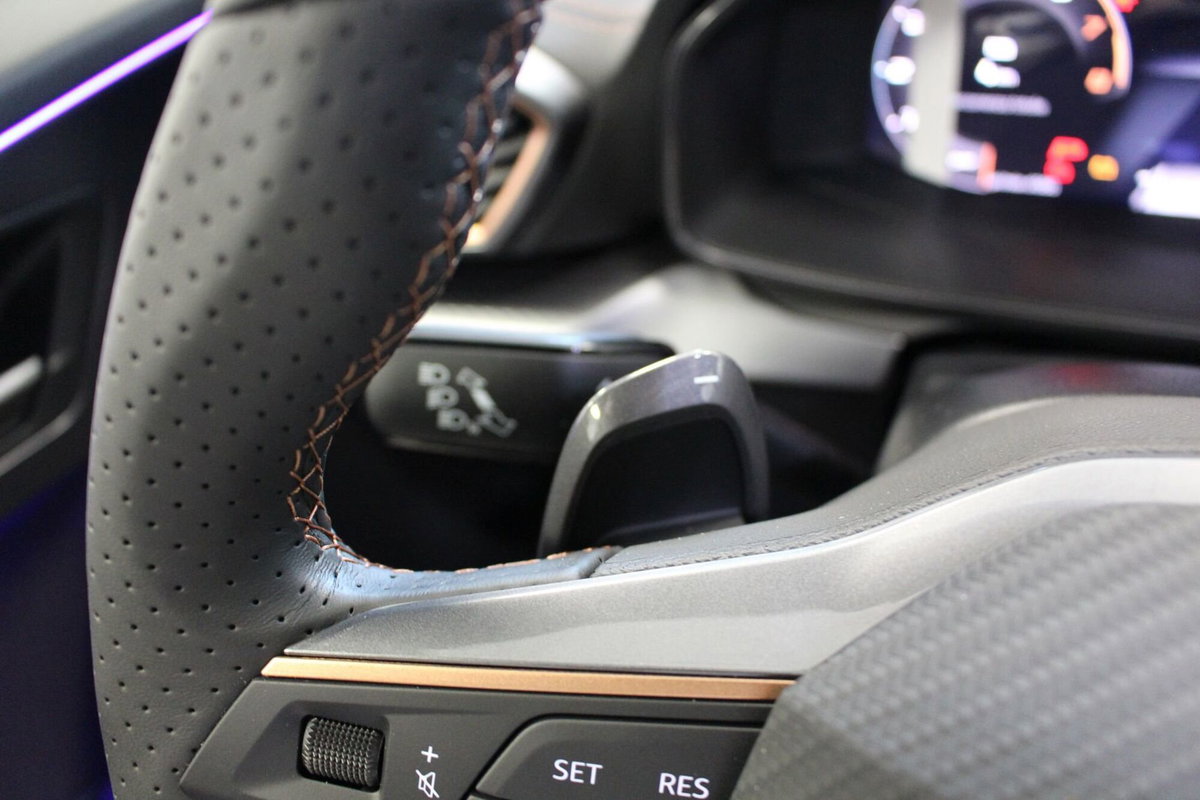 Cupra Formentor 1.5 hybrid 150cv dsg (14)