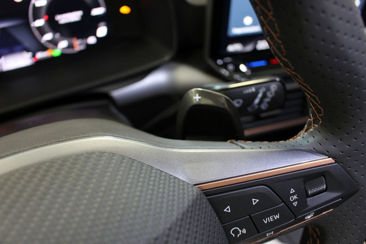Cupra Formentor 1.5 hybrid 150cv dsg (15)
