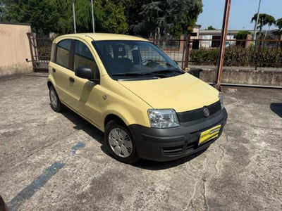 Fiat Panda 1.2 4x4 usata