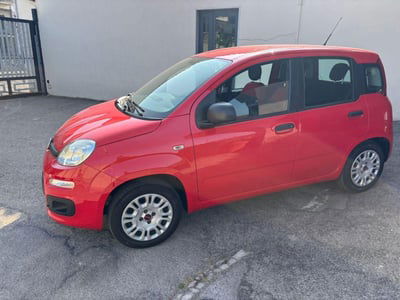 Fiat Panda 1.2 Easy usata