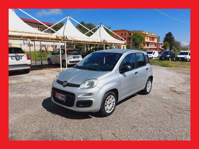 Fiat Panda 1.2 Easy usata