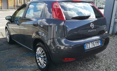 Fiat Punto 1.2 8V 5 porte Street usata