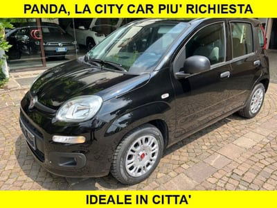 Fiat Panda 1.2 usata