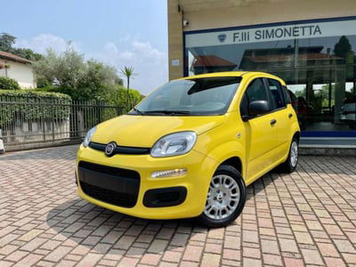 Fiat Panda 1.0 firefly hybrid s&s 70cv 5p.ti nuova