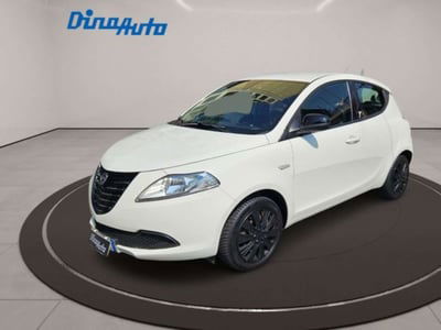 Lancia Ypsilon 1.2 69 CV 5 porte Elefantino usata