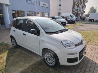 Fiat Panda 1.0 firefly hybrid s&s 70cv 5p.ti (2)