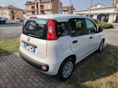 Fiat Panda 1.0 firefly hybrid s&s 70cv 5p.ti (4)