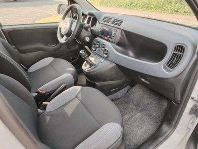 Fiat Panda 1.0 firefly hybrid s&s 70cv 5p.ti (5)