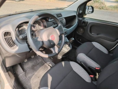 Fiat Panda 1.0 firefly hybrid s&s 70cv 5p.ti (7)