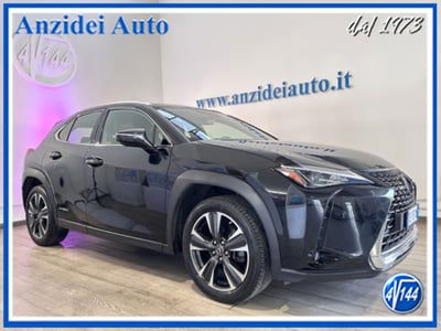 Lexus UX Hybrid Business usata