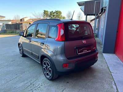 Fiat Panda van 1.0 hybrid Pop 70cv 2p.ti serie 4 E6d usato