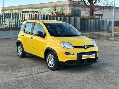 Fiat Panda 1.0 FireFly S&S Hybrid nuova