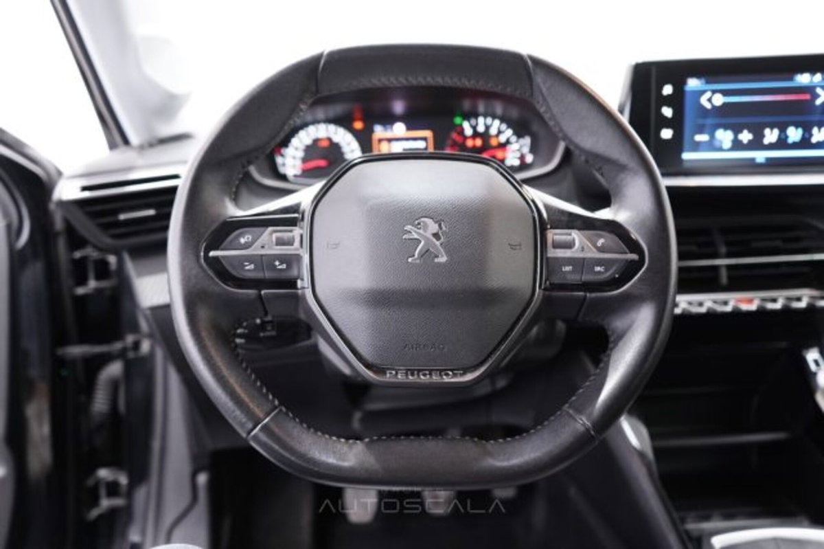 Peugeot 208 BlueHDi 100 Stop&Start 5 porte Active Pack (13)