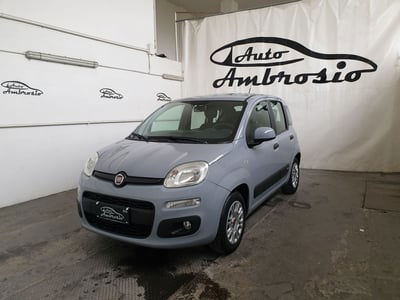 Fiat Panda 1.2 EasyPower Easy usata
