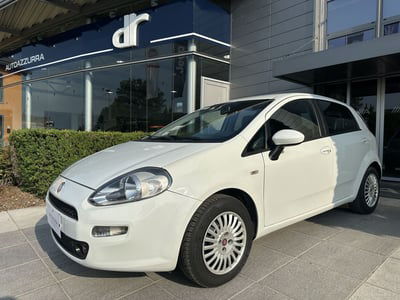 Fiat Punto 1.2 8V 5 porte Street usata