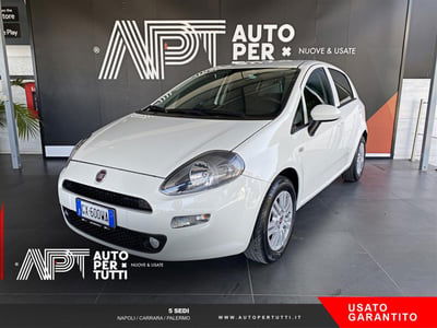 Fiat Punto 1.2 8V 5 porte Street usata