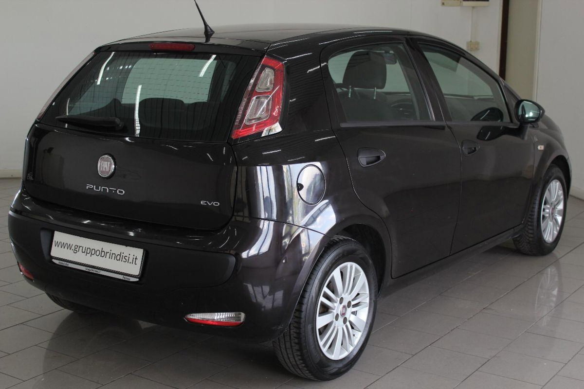 Fiat Punto Evo 1.3 MJT 95 DPF S&S 5p.Van Dynamic (4)