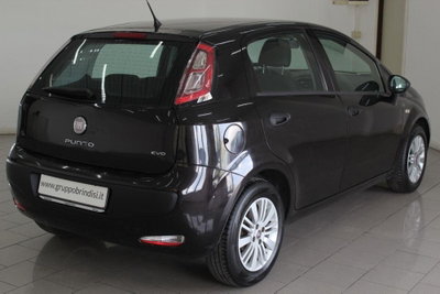 Fiat Punto Evo 1.3 MJT 95 DPF S&S 5p.Van Dynamic (4)