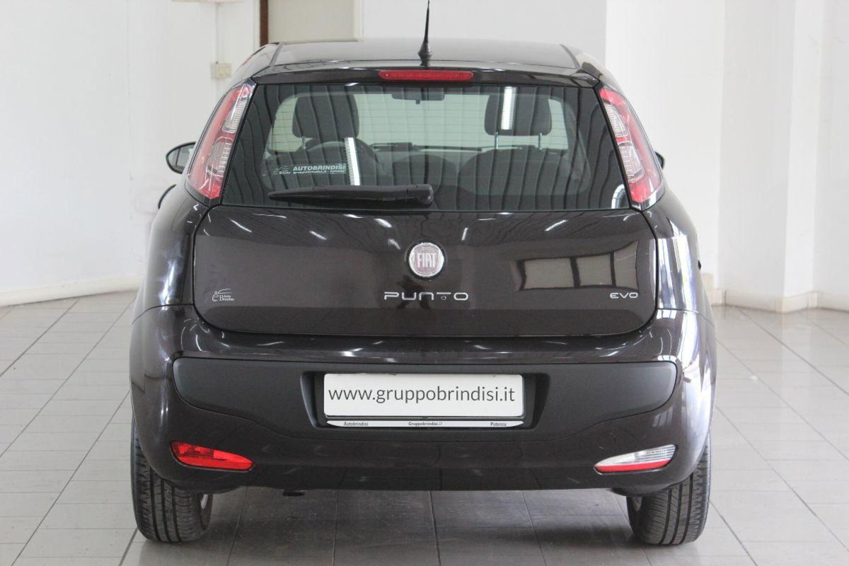 Fiat Punto Evo 1.3 MJT 95 DPF S&S 5p.Van Dynamic (5)