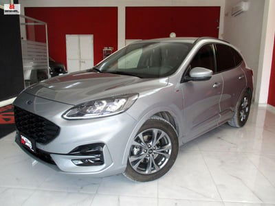 Ford Kuga 1.5 EcoBlue 120 CV aut. 2WD ST-Line X usata