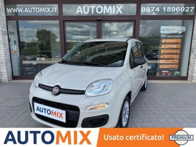Fiat Panda 1.2 Easy usata