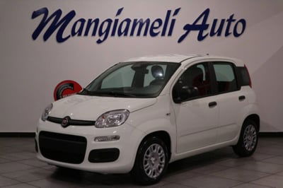 Fiat Panda 1.0 firefly hybrid s&s 70cv 5p.ti nuova