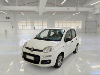 Fiat Panda 1.3 MJT 95 CV S&S Easy usata