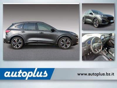 Ford Kuga 2.0 EcoBlue Hybrid 150 CV 2WD ST-Line X usata