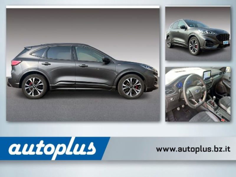 Ford Kuga 2.0 EcoBlue Hybrid 150 CV 2WD ST-Line X