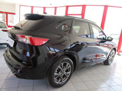 Ford Kuga 1.5 EcoBlue 120 CV 2WD ST-Line usata