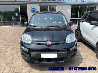 Fiat Panda 1.2 Easy usata