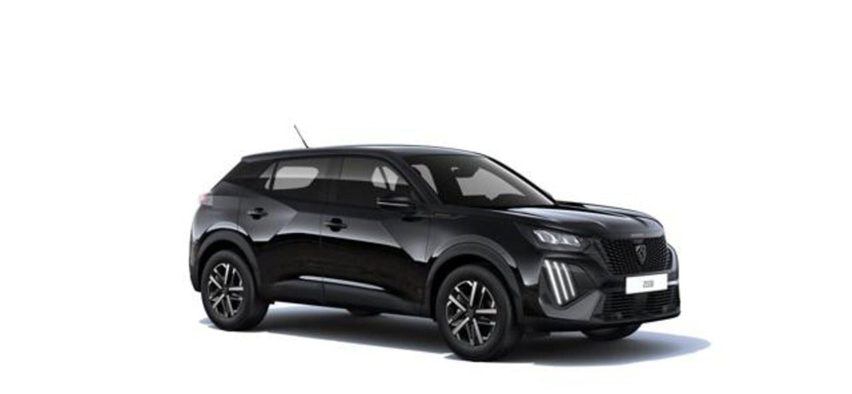 Peugeot 2008 1.2 puretech Style s&s 100cv (5)