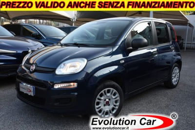 Fiat Panda 1.2 Easy usata