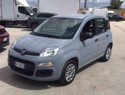 Fiat Panda 1.2 Easy usata