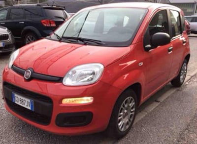 Fiat Panda 1.2 Easy usata