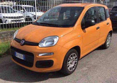Fiat Panda 1.2 Easy usata