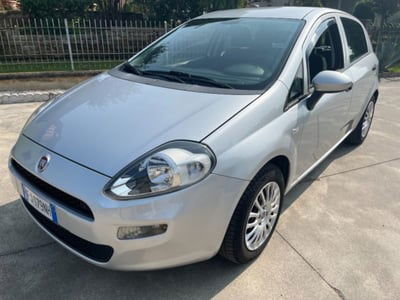 Fiat Punto 1.2 8V 5 porte Easy usata