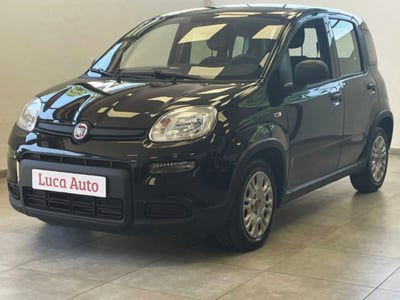 Fiat Panda 1.0 firefly hybrid s&s 70cv 5p.ti usata