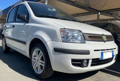Fiat Panda 1.2 Dynamic usata