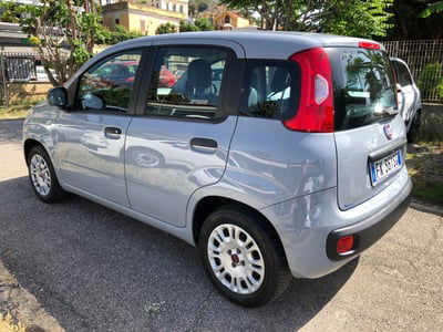 Fiat Panda 1.2 Easy usata