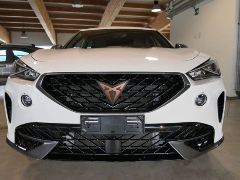 Cupra Formentor Formentor 2.0 tdi 4drive 150cv dsg