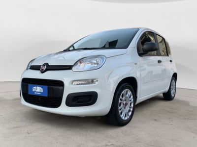 Fiat Panda 1.2 Easy usata